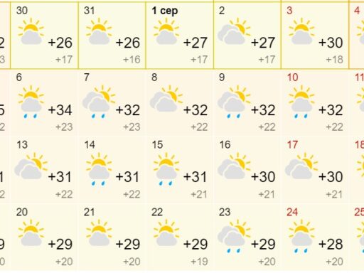 Метеорологи рассказали, каким будет август 2024 года в Запорожье