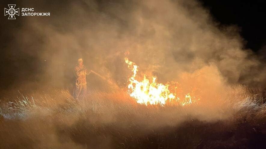 Запорізькі рятувальники гасили 12 пожеж у екосистемах